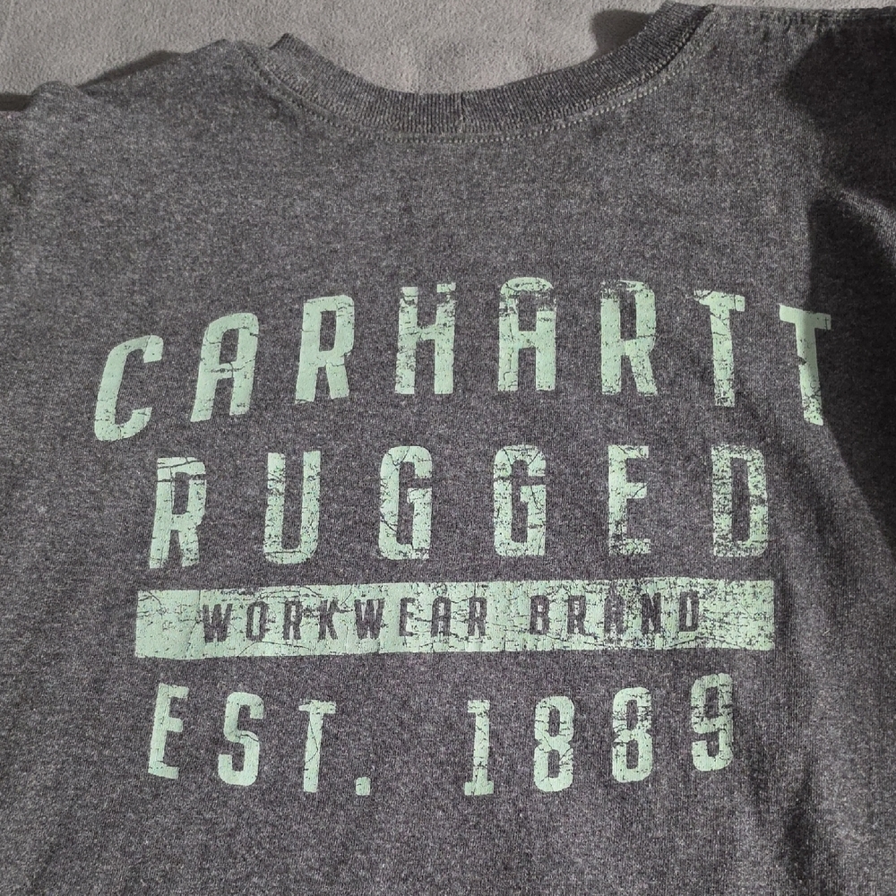Carhartt Men's Dark Gray Short-Sleeve T-Shirt with Mint Graphic